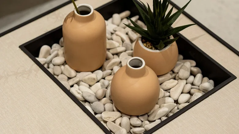 17 Humidity-Loving Indoor Plants That Will Thrive When Grown In Pebble Trays