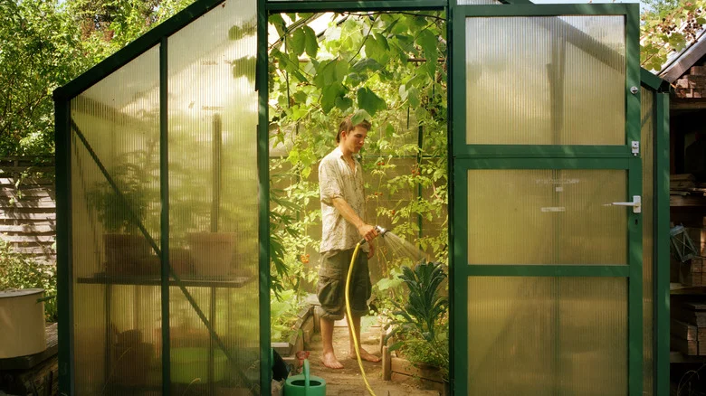 18 Fruits & Veggies That Grow Best In A Greenhouse Garden