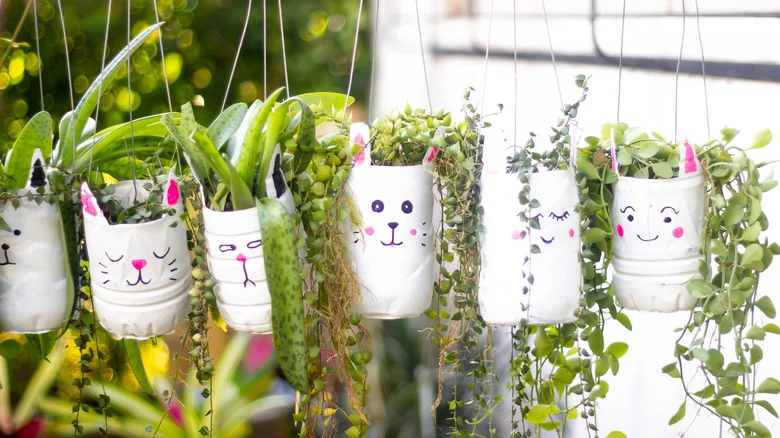 25 Reuse And Recycle: Clever Ways To Repurpose Plastic In The Garden