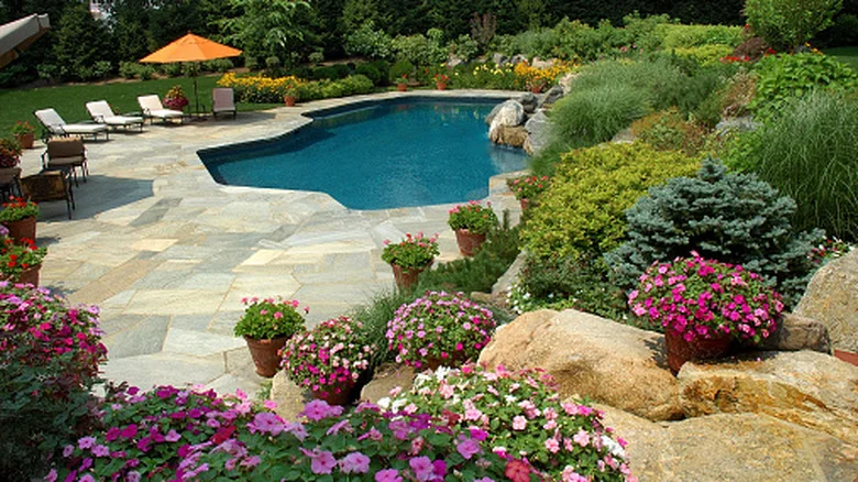 28 Best Perennials You Should Be Growing Near Your Pool