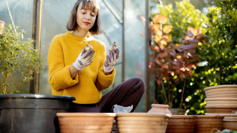 5 Bulb Planting Tools That Make Gardening So Much More Convenient