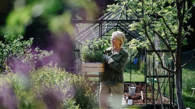 5 Flowers To Plant In Your Garden For An Instant Pick-Me-Up