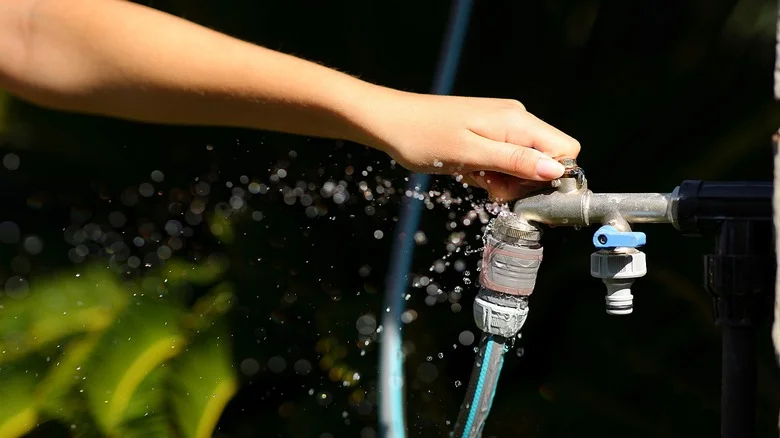 5 Reasons Your Garden Hose Is Leaking