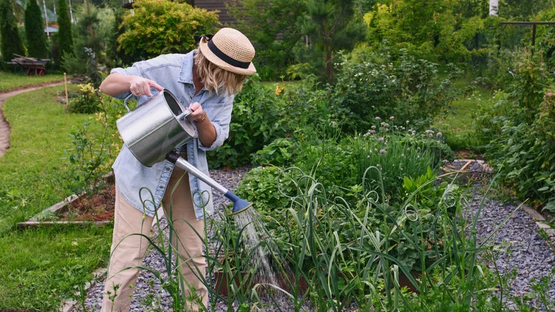 5 Types Of DIY Trellises For Your Vegetable Garden
