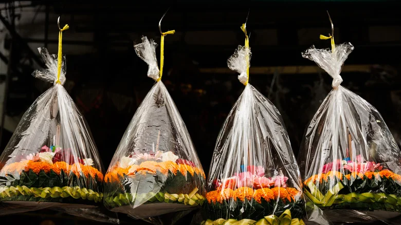 7 Smart Ways To Use Plastic Wrap For Plants And Garden