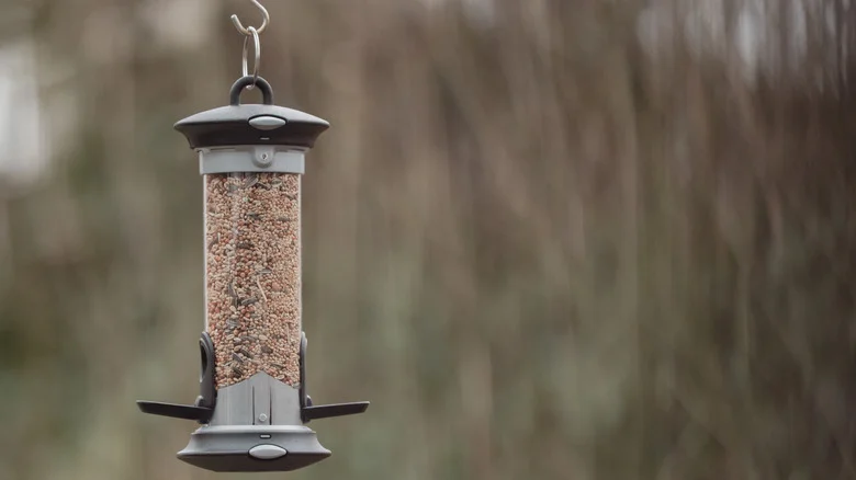 9 DIY Seed Recipes That Offer Variety To The Birds In Your Yard