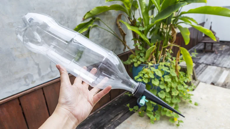 9 DIY Self-Watering Planter Ideas You’ll Want To Try In The Garden