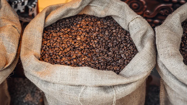 9 Ways To Repurpose Burlap Coffee Sacks In Your Garden