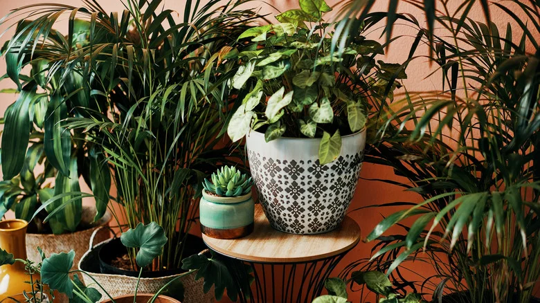 A Beginner’s DIY Guide To Creating A Self-Watering Planter Your Plants Will Love