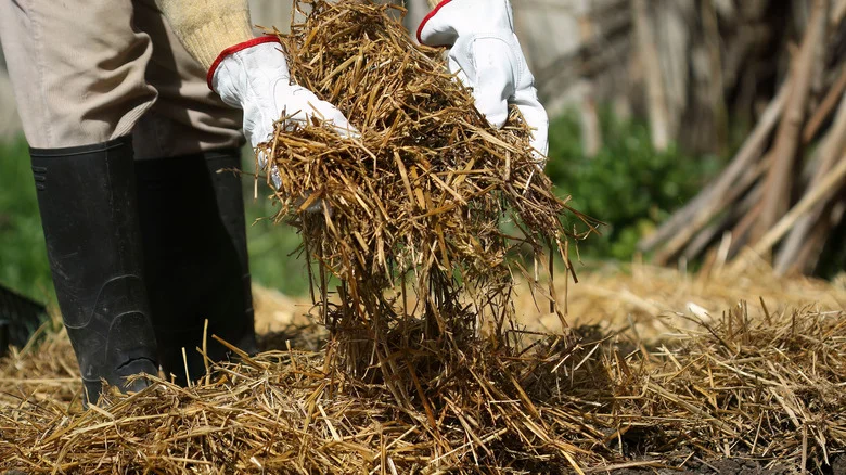 A Second Layer Of Mulch Can Help Your Garden Plants Survive Winter – Here’s The Best Time To Add It