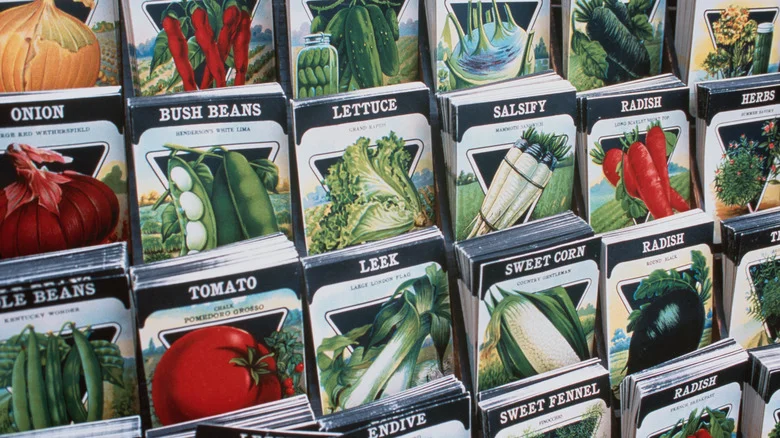 A Simple Storage Tip That’ll Help Keep Track Of All The Seeds You Have