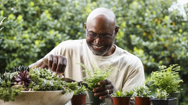 Aldi Is Carrying An Affordable Garden Essential That Shoppers Are Snatching Up Fast