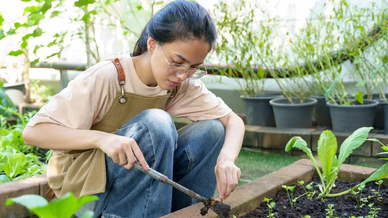Aldi’s New Galvanized Garden Beds Are Under $20 And Great For Small Yards