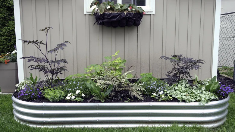All The Benefits Of Using Galvanized Steel For Your Raised Flower Garden Bed