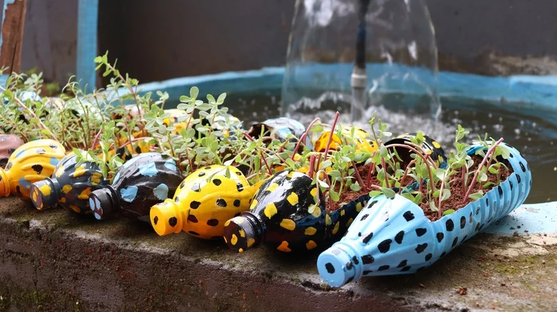 All The Ways You Can Reuse Those Plastic Water Bottles In Your Garden