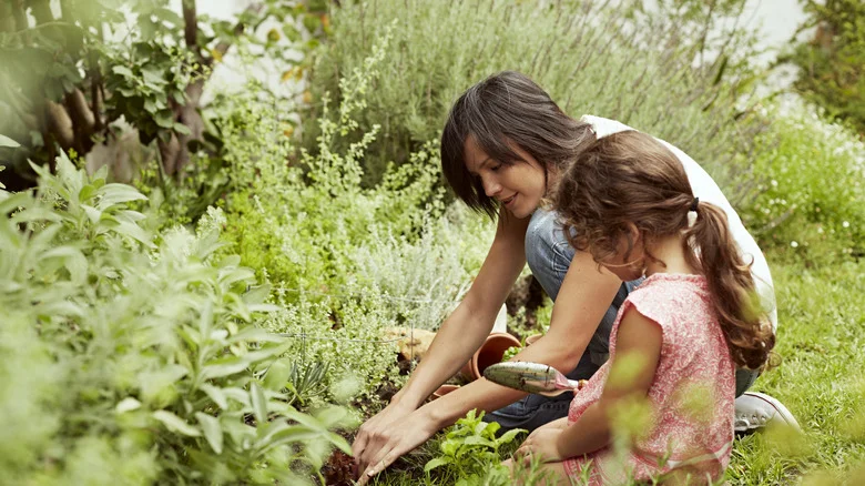 All The Ways You Should Be Using Cinnamon In Your Garden
