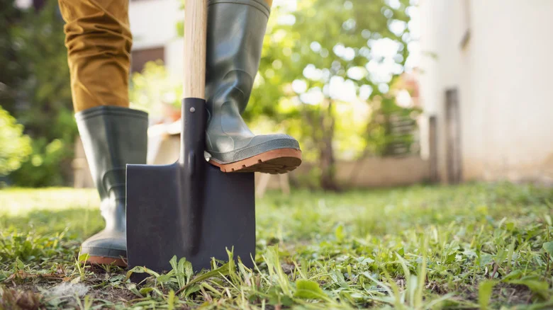Amazon Has A No-Dig Solution For Landscape And Driveway Edging