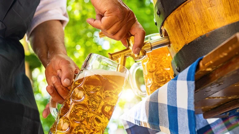 Are There Any Common Pests You Can Control With Beer? Here’s What We Know