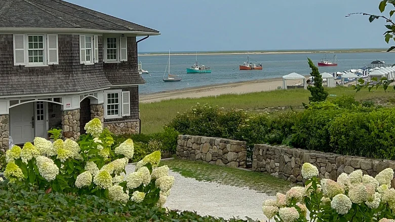 Attract Birds To Your Coastal Garden With A Fruit-Bearing Shrub That Provides Privacy
