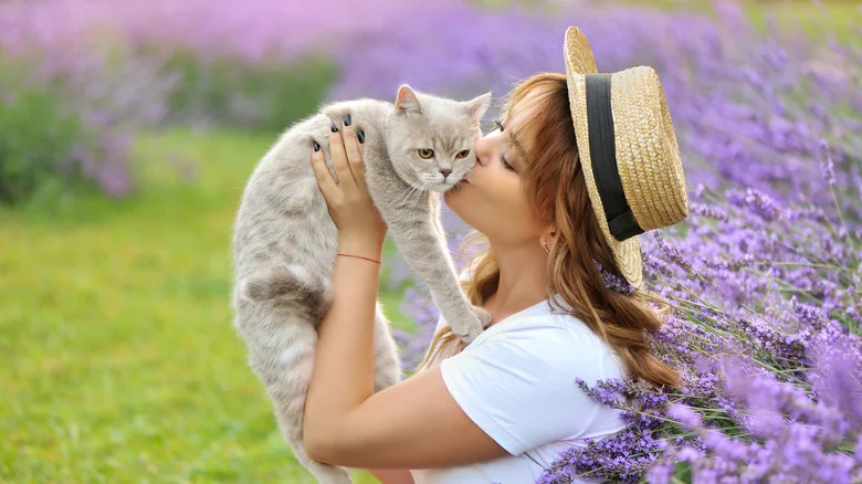 Be Wary Of One Thing When Growing Lavender In Your Home Or Garden If You Own Pets