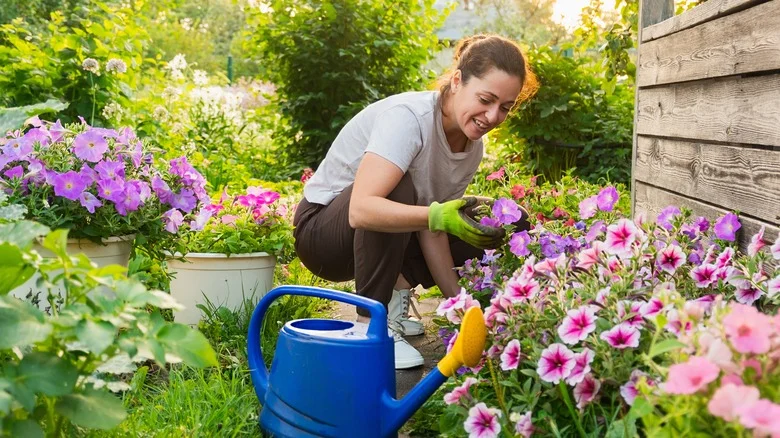 Beautiful Spring Annuals That Will Turn Your Garden Into A Colorful Showstopper