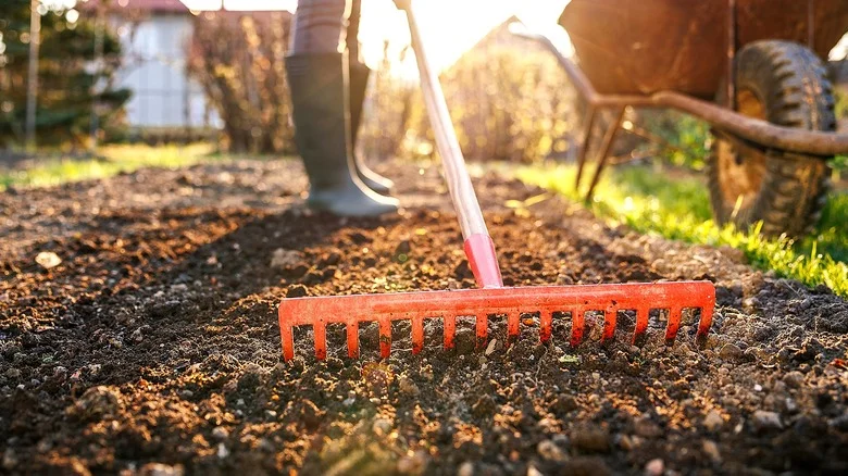 Bow Rake Vs Leaf Rake: What’s The Difference?