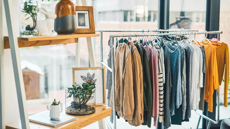 Breathe New Life Into An Old Clothing Rack With TikTok’s Chic Plant Station DIY