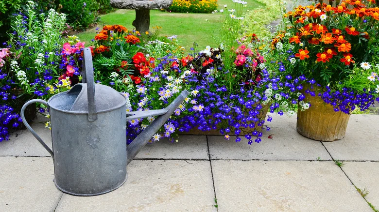 Brilliant Ways To Repurpose An Old Watering Can That You No Longer Use