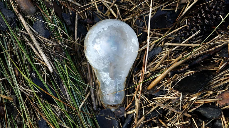 Brilliant Ways To Upcycle Used Lightbulbs Around Your Home And Garden