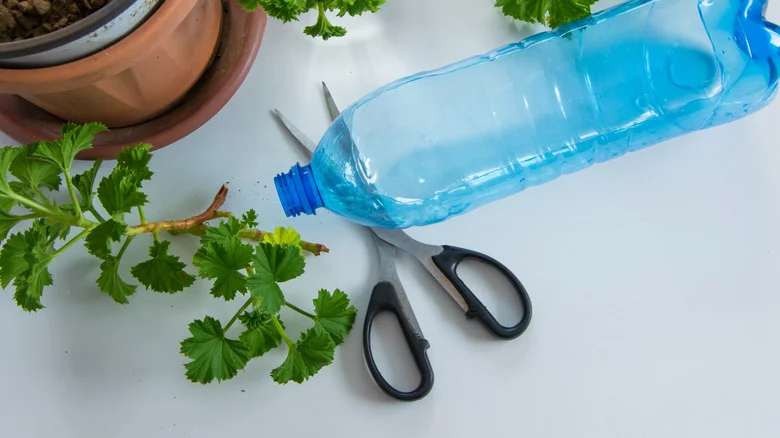 Bring The Outdoors In With This Nifty Planter DIY Using Only Water Bottles
