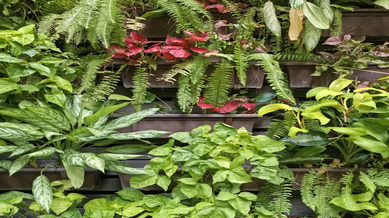 Build A DIY Vertical Garden Using An Item Everyone Throws In The Trash