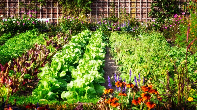 Bury These Unexpected Items In Your Soil And Watch Your Garden Flourish