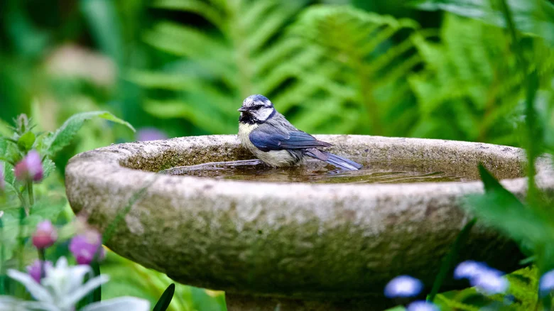 Bye Classic Bird Baths: This DIY Rock Feature Adds A Splash Of Magic To Any Yard