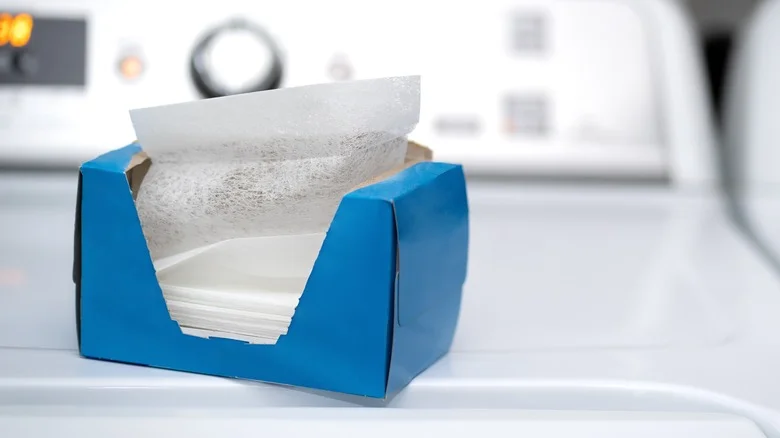 Can Laundry Sheets Really Deter Squirrels From Your Garden? Here’s What You Need To Know