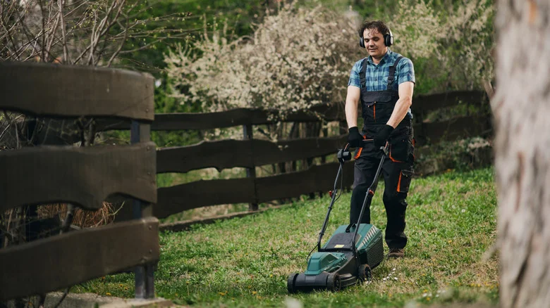 Can Mowing Your Lawn Kill Ticks? Here’s What To Know Before Trying