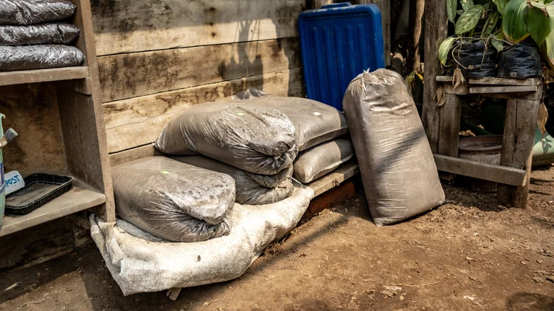 Can The Soil You Left In Storage All Winter Still Be Used In Your Garden This Spring?