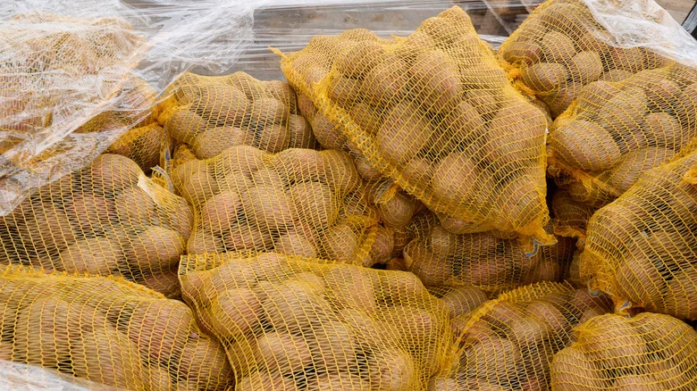 Can You Really Make A DIY Bird’s Nest From A Mesh Produce Bag?