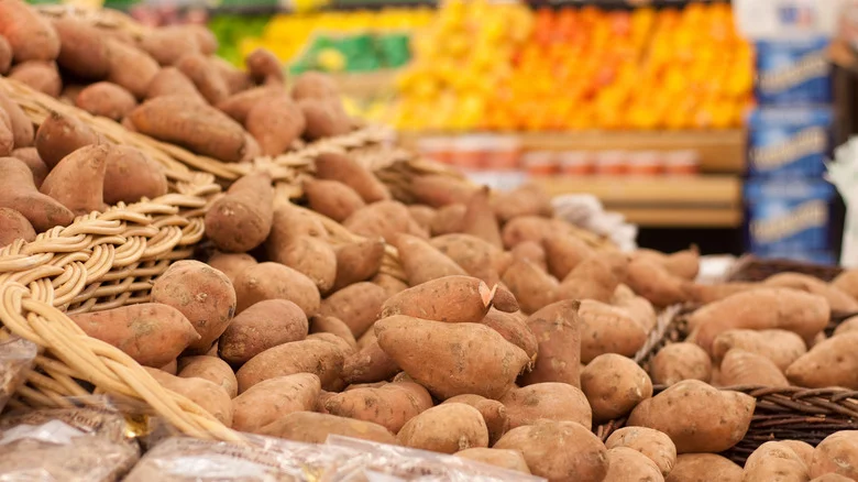 Can You Regrow Sweet Potatoes From The Grocery Store? Here’s What You Should Know