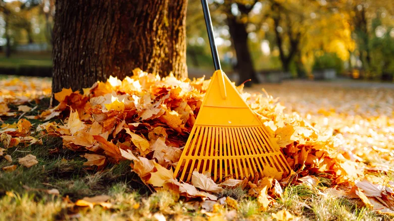 Clean Up Your Garden Now To Prevent One Nasty Stinging Pest This Spring