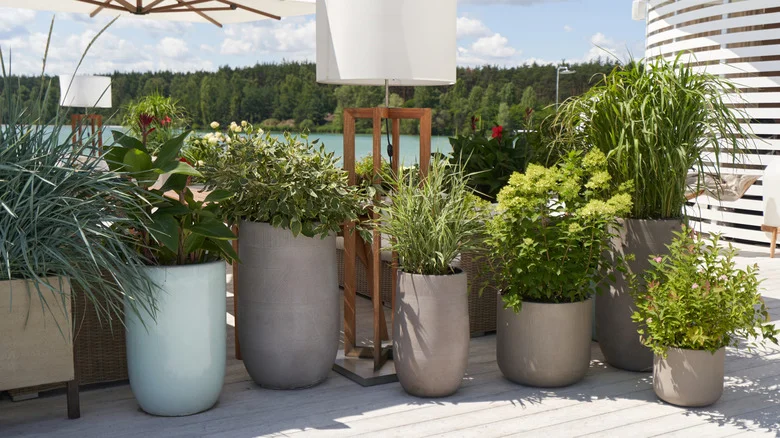 Common Materials You Should Never Use To Fill The Bottom Of Large Planters