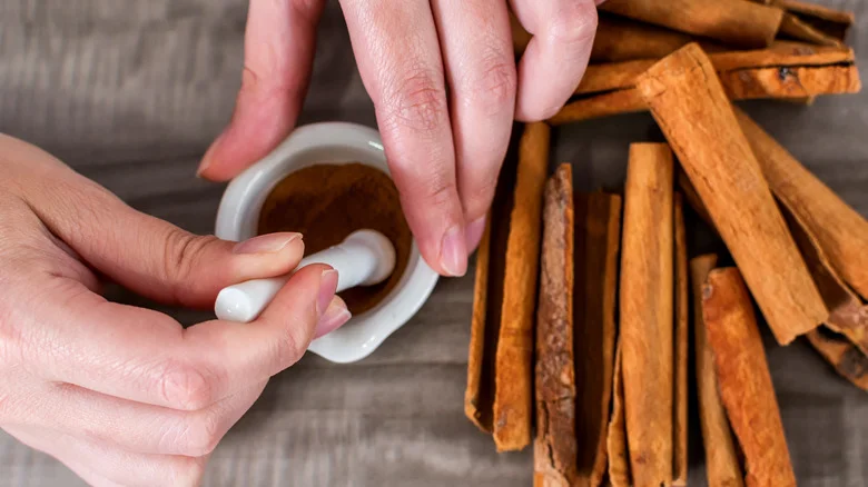 Common Pests That Don’t Stand A Chance Against Cinnamon