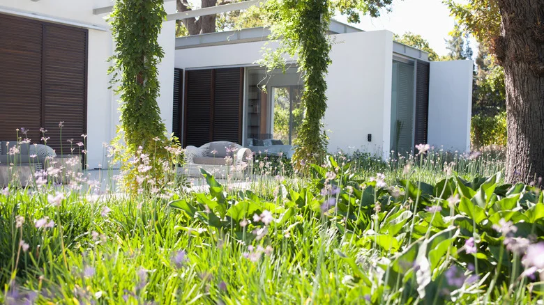 Common Weeding Mistakes That Cause Them To Keep Coming Back