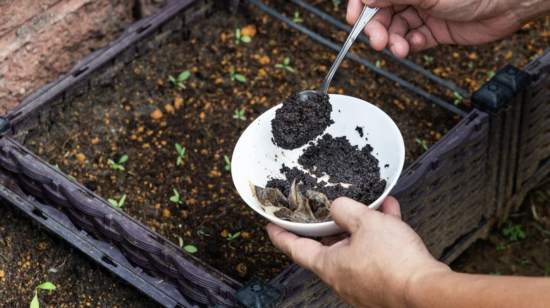 Common Yard Pests That Aren’t Bothered By Coffee Grounds