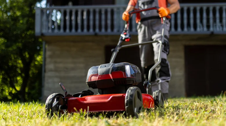 Consumer Reports Says This Quick-Charging Lawn Mower Is Worth The Splurge