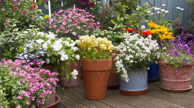 Container Gardening Is Changing With More Environmentally-Friendly Solutions
