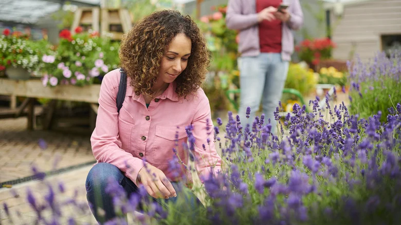 Costco May 2026: Best New Plants To Buy This Month