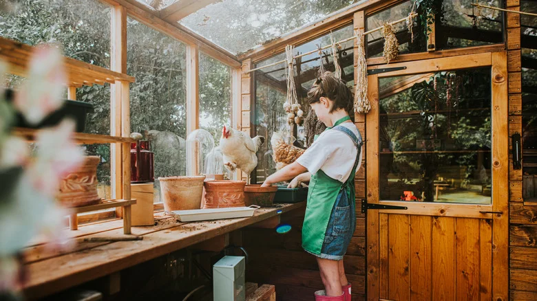 ‘Couldn’t Be Happier’: Homeowner Shares Inspiring Backyard Shed Transformation