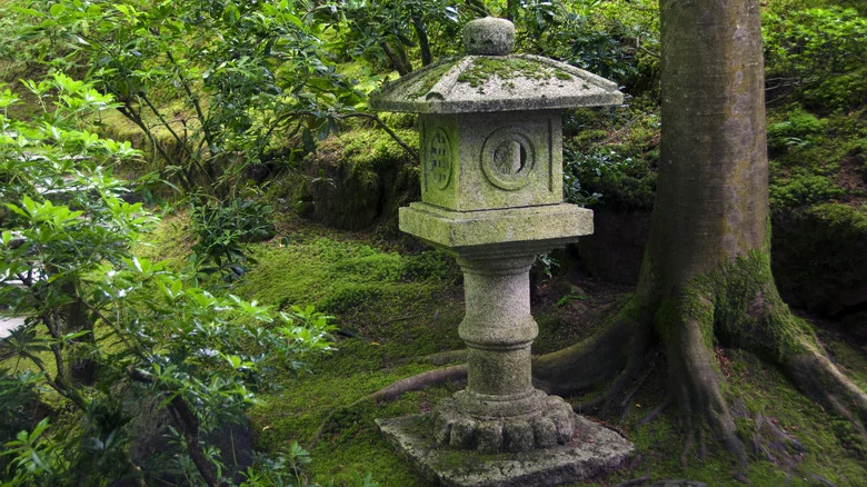Create Magical Moss-Covered Decor For Your Garden Using This Simple Ingredient