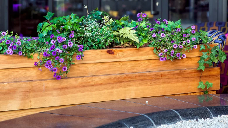 Create Your Own Luxury Planter Box With These Budget-Friendly DIY Supplies