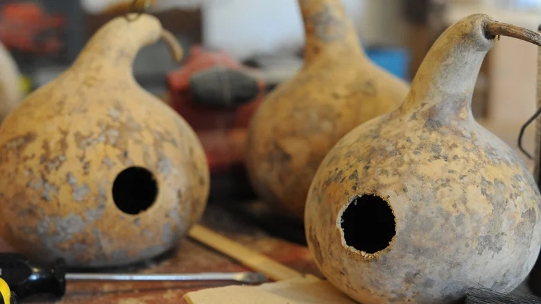 Creating A Stunning Organic Birdhouse Is Easy With This TikTok-Approved DIY